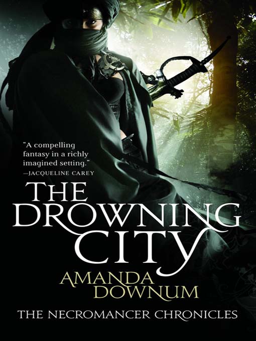 Cover image for The Drowning City